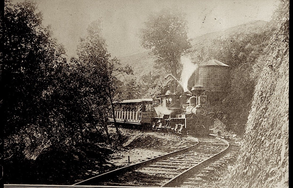 A steam train beside a wooden water tank in a wooded cut