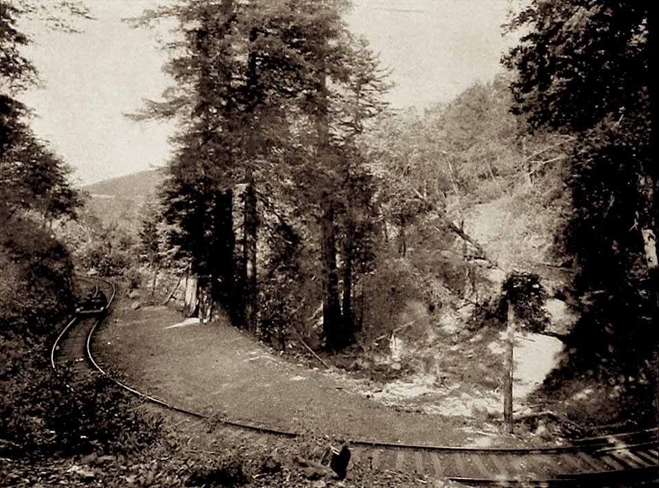 The track curving through a wooded canyon